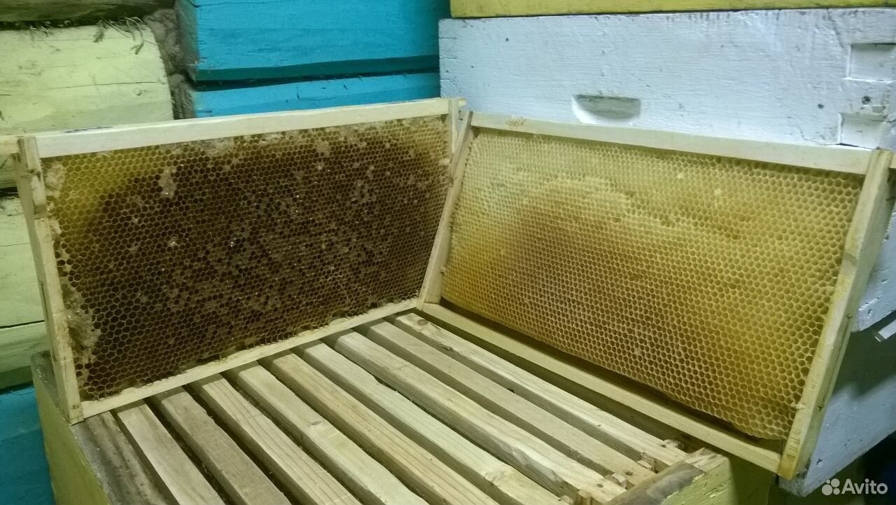 Сушь пчеловодная купить на Зозу.ру - фотография № 1
