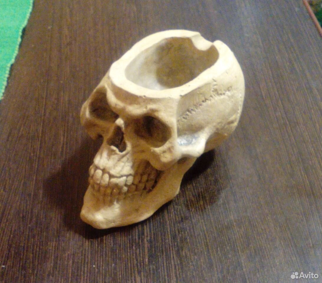 Череп барана девушка Череп барана девушка
