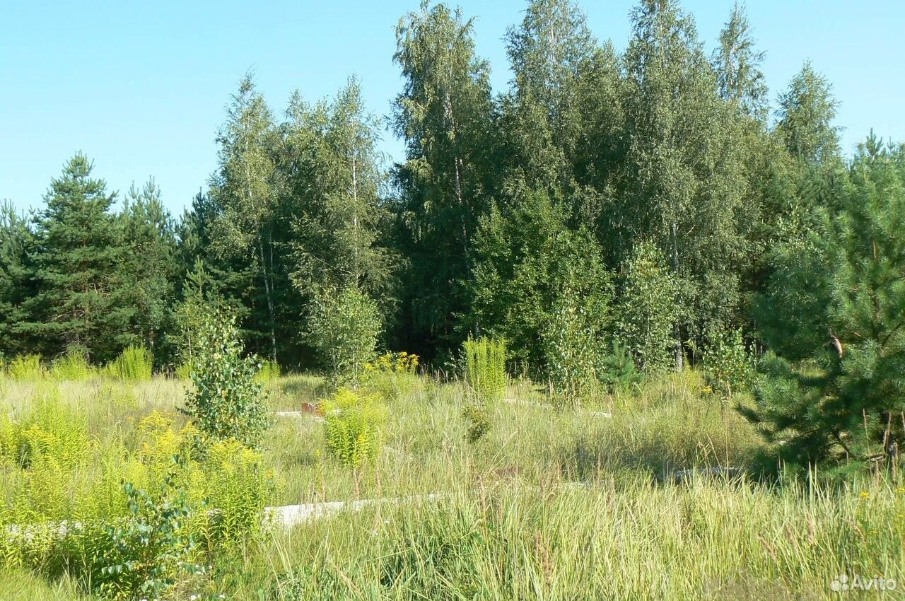 Коттеджный поселок романово с ленино. Сенцово липецк. Липецкий район хрущевка природа. Участки под ижс в липецком. Кладбище на косыревке в липецке.