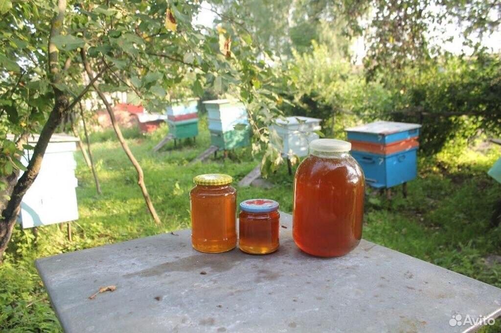Пчеловоды купить на Зозу.ру - фотография № 1