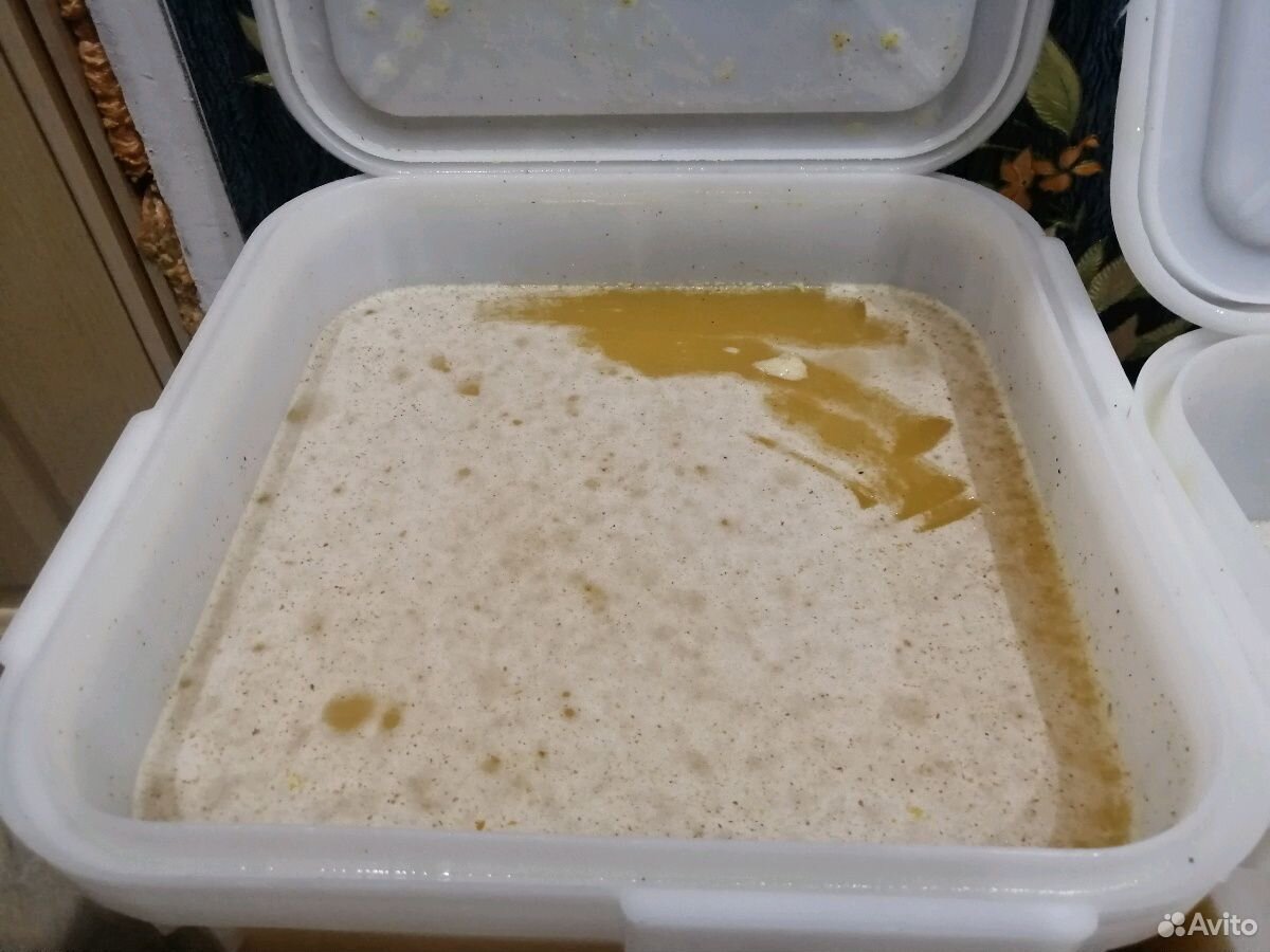 Мёд цветочный, разнотравный (август 2019г) купить на Зозу.ру - фотография № 2