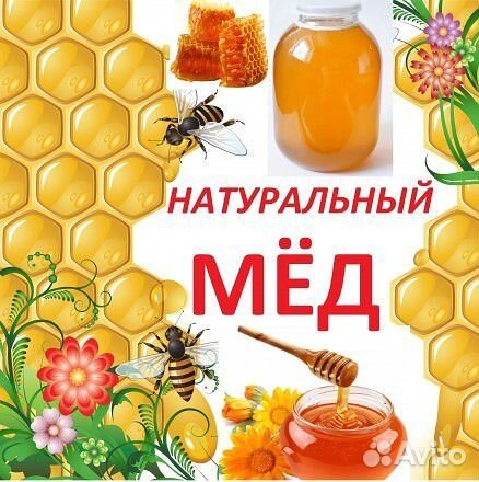 Мёд подсолнечный купить на Зозу.ру - фотография № 1