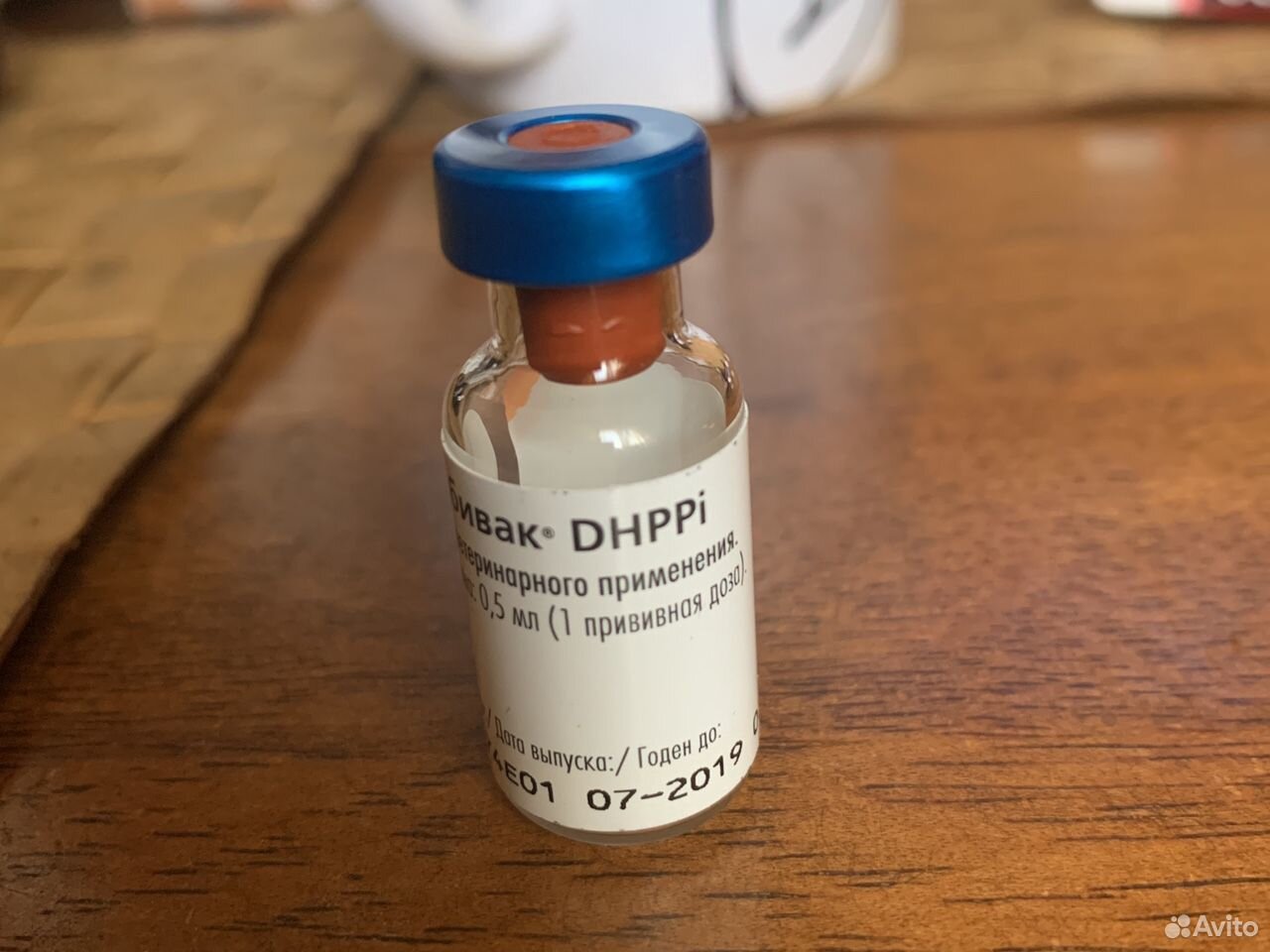 Нобивак где сделать. Нобивак DHPPI. Нобивак DHPPI для собак. Вакцина Нобивак DHP. Нобивак DHPPI RL для собак.