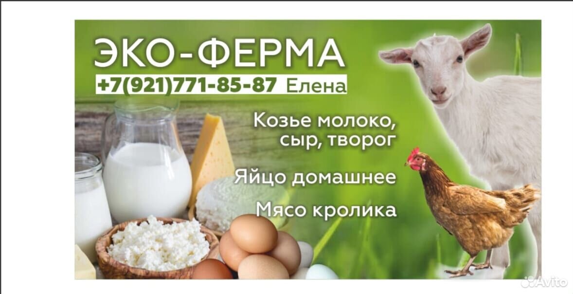 Домашнее яйцо, козье молоко, творог, овощи купить на Зозу.ру - фотография № 1