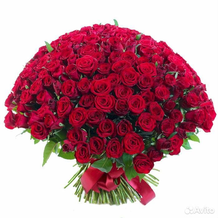 91 красная роза с Доставкой купить на Зозу.ру - фотография № 1