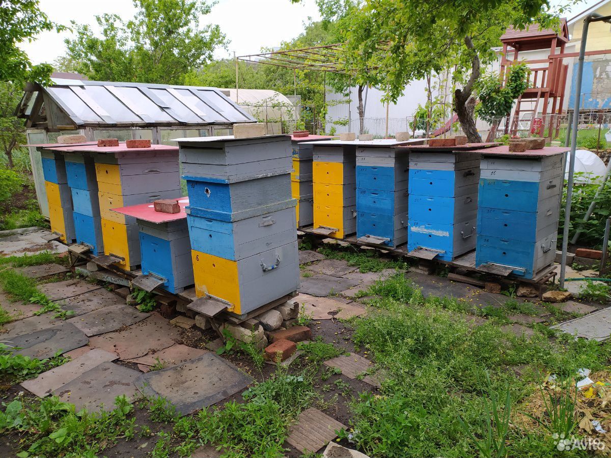 Ульи для пчел купить на Зозу.ру - фотография № 1