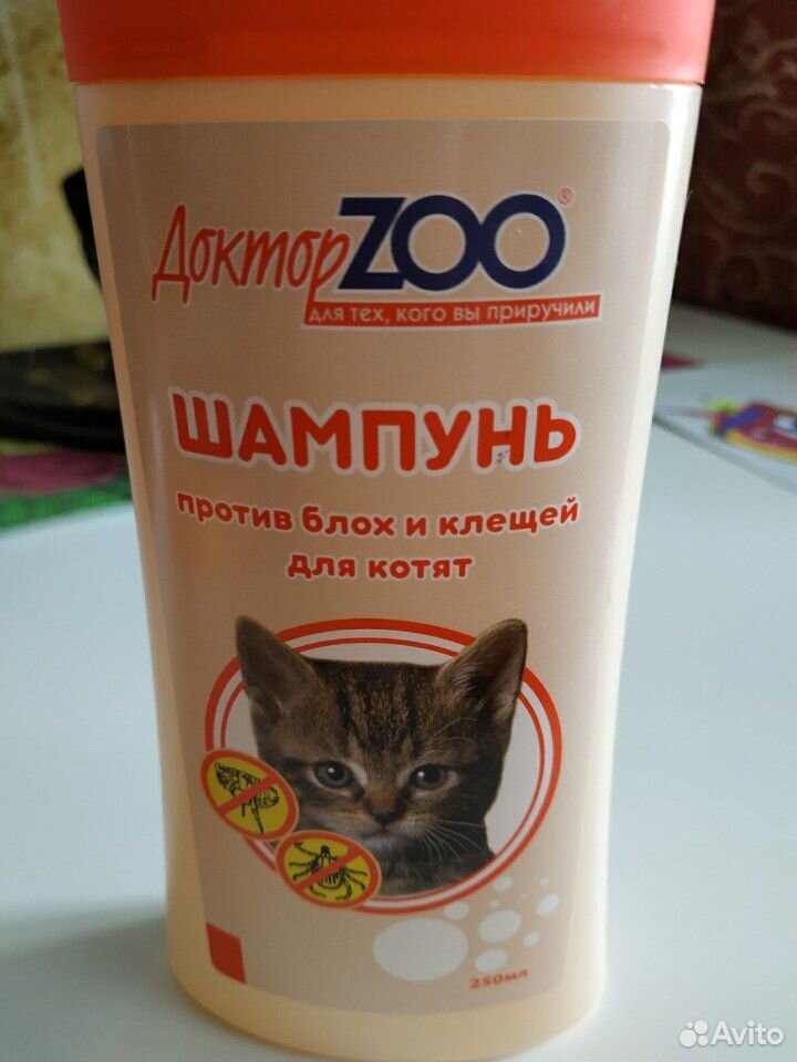 Шампунь для котят купить на Зозу.ру - фотография № 1
