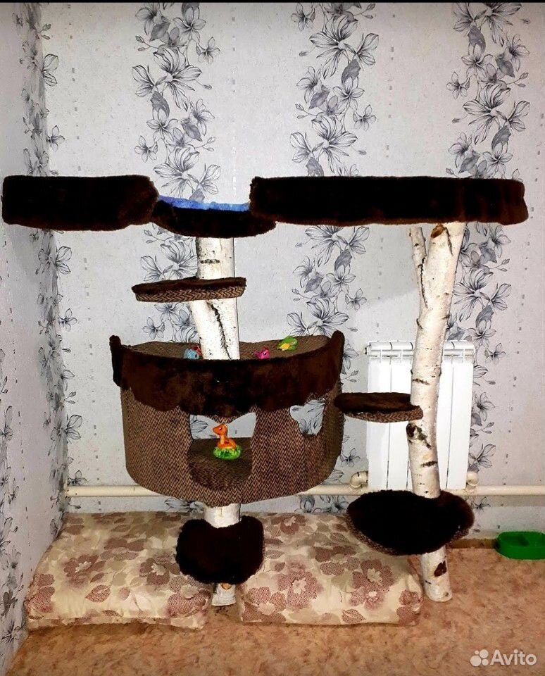 Домик для кошек 1.5 на 1.5 метра купить на Зозу.ру - фотография № 1