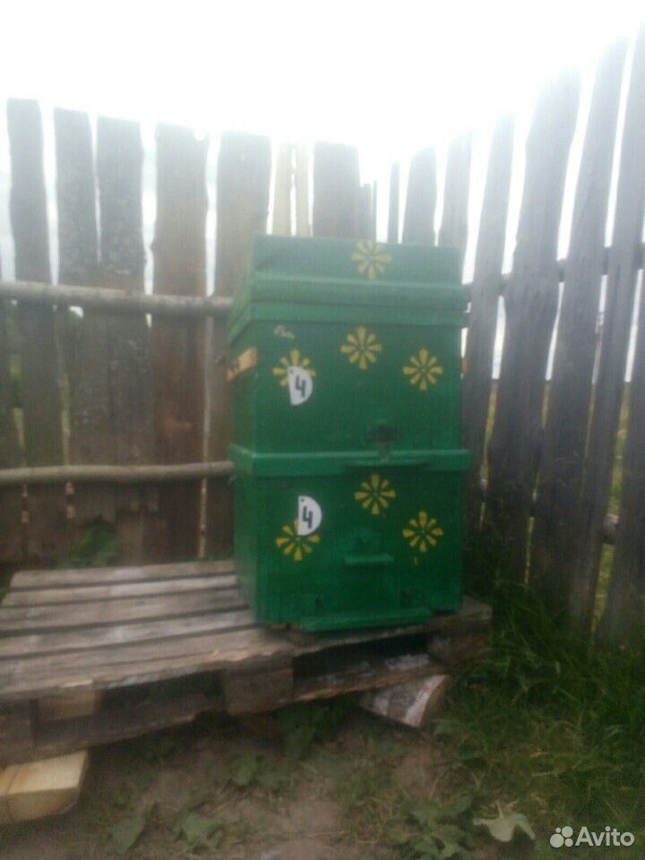 Улья для пчел купить на Зозу.ру - фотография № 1
