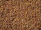 Комбикорм, сено, зерно, пшеница объявление продам