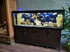 Новый аквариум 170см длиной комплект