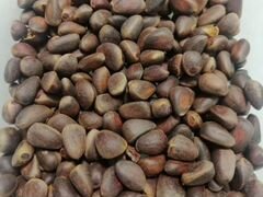 Орехи кедровый, свежий урожай