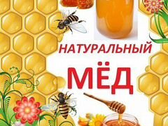 Мёд подсолнечный