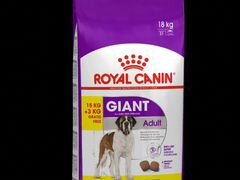 Корм для собак royal canin gigant