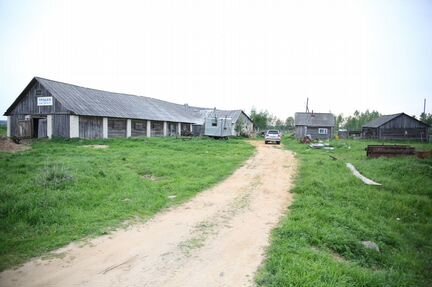 Ферма в д. Уткино, Большесельский район, 1500 м²