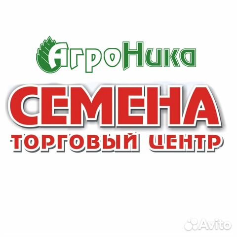 Работа в брянске. Авито Брянск работа. Работа в Брянске свежие вакансии. Работа в Дятьково свежие вакансии. Работа в Брянске свежие вакансии для женщин.