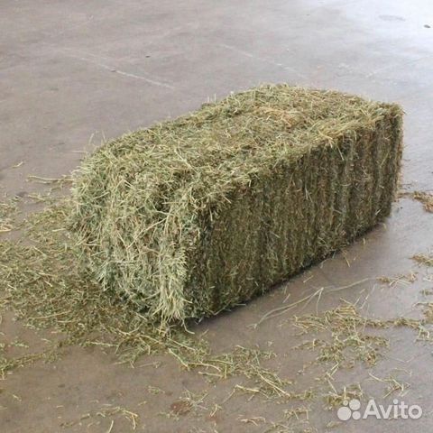 Сено в тюках