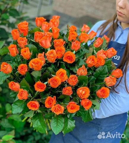 Розы оранжевые Wild Card Большой букет позитива