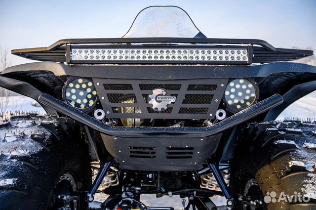 Сокол Трофи