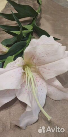 Для Пасхи Цветы для декора