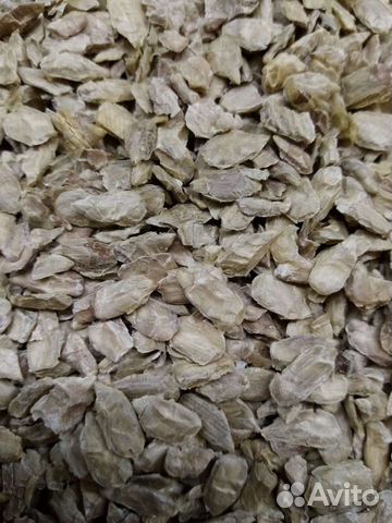 Обезжиренные семена подсолнечника