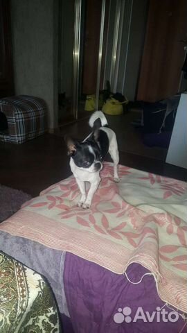 Вязка кабеля