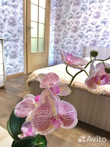 

1-к. квартира, 30 м², 2 кровати