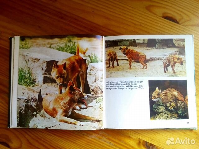 Книга о Берлинском зоопарке. Германия