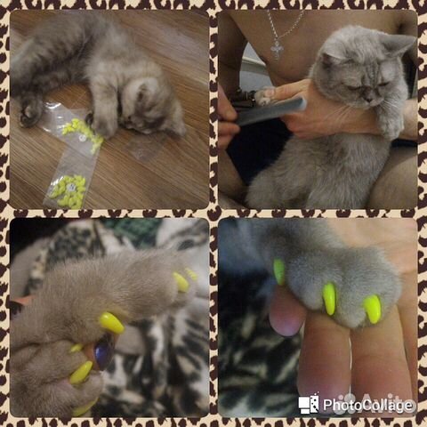 Изделия для предотвращения разрушения мебели и когтей