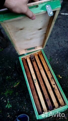 Улья, ловушки и рамочки для пчёл купить на Зозу.ру - фотография № 8