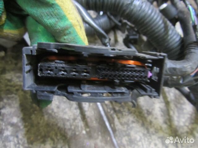 Проводка коса подмоторная Nissan Primera P12 2.0