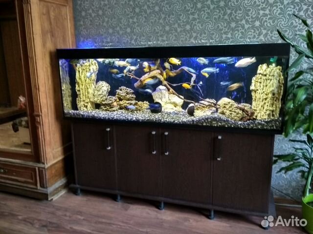 Новый аквариум 170см длиной комплект купить на Зозу.ру - фотография № 1