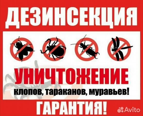 Травить, тараканов, клопов. Дезинфекция Травить, тараканов, клопов. Дезинфекция