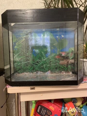 Продам аквариум на 60 литров