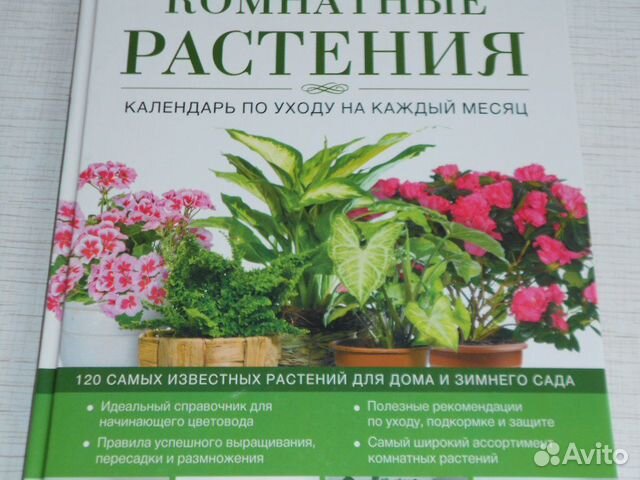Календарь по уходу за комнатными растениями