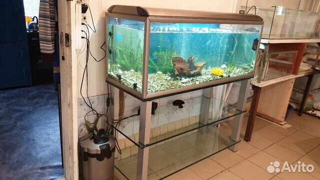 Продам аквариум и всё необходимое к нему купить на Зозу.ру - фотография № 1