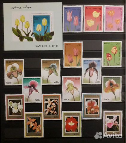 Марки флора цветы 60-90х чистые (6 сканов ) Марки флора цветы 60-90х чистые (6 сканов )