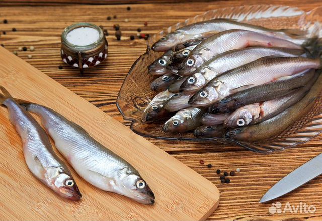 Корюшка Дальневосточная