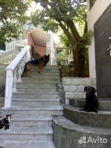 Дом 180 м² на участке 6 сот. Дом 180 м² на участке 6 сот.