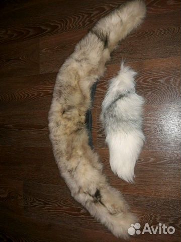 Воротник и хвост песец