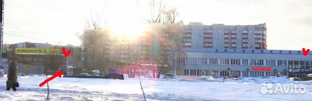 Корма для животных