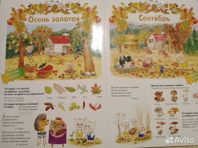 Книга для детей развивающая Книга для детей развивающая