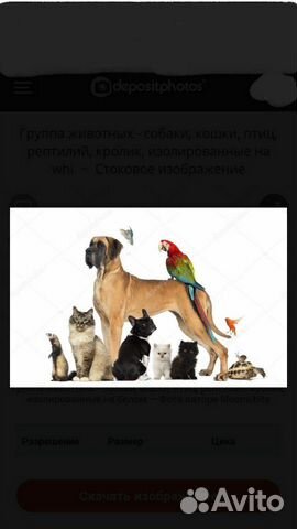 Всё всё всё для наших любимых животных купить на Зозу.ру - фотография № 5