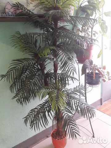 Искусственное дерево Искусственное дерево