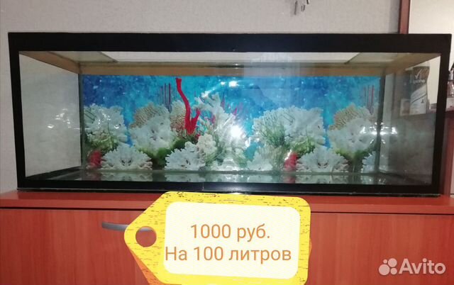 Продам аквариум на 100 литров купить на Зозу.ру - фотография № 1