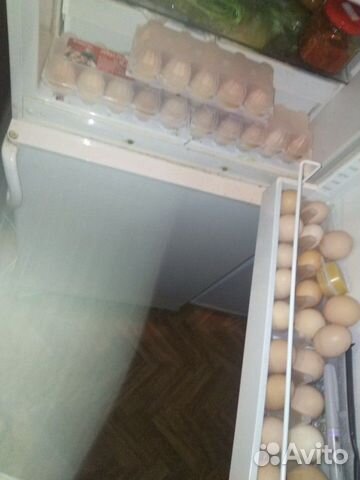 Яйца породы "Брама" купить на Зозу.ру - фотография № 1
