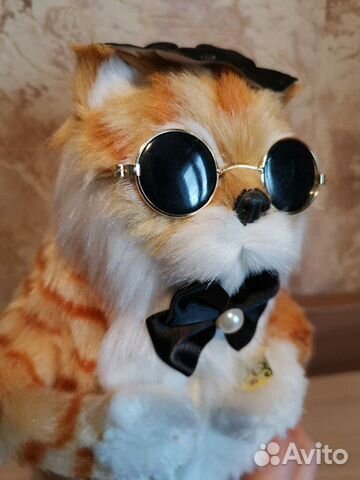 Рыжий кот Рыжий кот