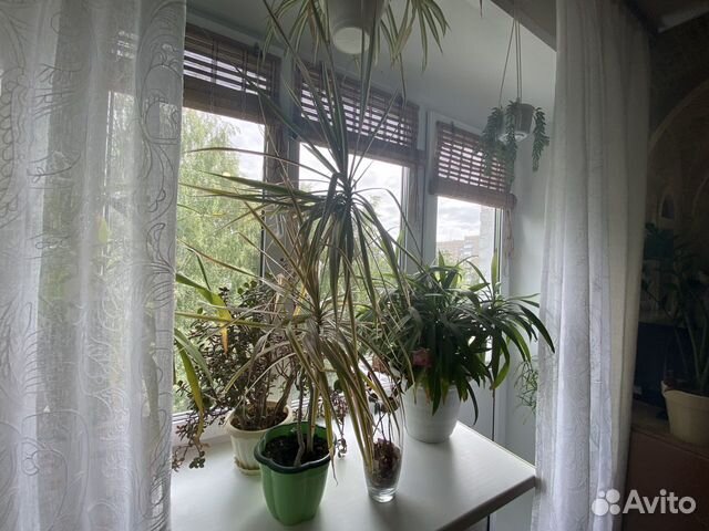 1-к квартира, 20.4 м², 5/9 эт. 1-к квартира, 20.4 м², 5/9 эт.