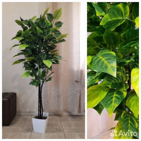 Декоративное дерево