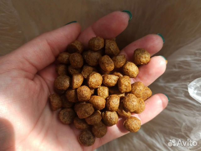 Сухой корм Променад для собак из морской рыбы